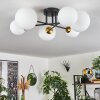 Chehalis Ceiling Light - glass 12 cm, 15 cm gold, black, 6-light sources