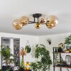 Chehalis Ceiling Light - glass 10 cm, 12 cm, 15 cm gold, black, 6-light sources