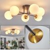 Chehalis Ceiling Light - glass 12 cm gold, black, 6-light sources