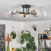 Chehalis Ceiling Light - glass 12 cm, 15 cm gold, black, 6-light sources