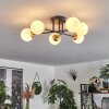 Chehalis Ceiling Light - glass 10 cm gold, black, 6-light sources