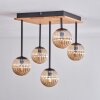 Chehalis Ceiling Light - glass 12 cm Ecru, black, 5-light sources