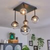 Chehalis Ceiling Light - glass 10 cm, 12 cm, 15 cm gold, black, 5-light sources