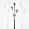 Bernado Floor Lamp - glass 10 cm Smoke-coloured, 3-light sources