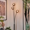 Bernado Floor Lamp - glass 10 cm Smoke-coloured, 3-light sources