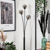 Bernado Floor Lamp - glass 10 cm Smoke-coloured, 3-light sources