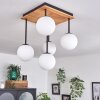 Chehalis Ceiling Light - glass 12 cm Ecru, black, 5-light sources