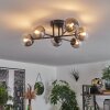 Chehalis Ceiling Light - glass 10 cm clear, Smoke-coloured, 6-light sources