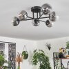 Chehalis Ceiling Light - glass 10 cm clear, Smoke-coloured, 6-light sources