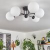 Chehalis Ceiling Light - glass 15 cm white, 6-light sources