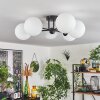 Chehalis Ceiling Light - glass 15 cm white, 6-light sources