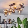 Chehalis Ceiling Light - glass 10 cm, 12 cm, 15 cm Amber, clear, Smoke-coloured, 10-light sources