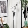 Bernado Floor Lamp - glass 10 cm white, 6-light sources