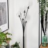 Bernado Floor Lamp - glass 10 cm clear, 6-light sources