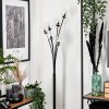 Bernado Floor Lamp - glass 10 cm clear, 6-light sources