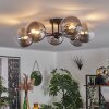 Chehalis Ceiling Light - glass 15 cm clear, Smoke-coloured, 6-light sources