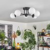 Chehalis Ceiling Light - glass 10 cm white, 6-light sources