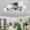 Chehalis Ceiling Light - glass 10 cm white, 6-light sources