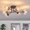 Chehalis Ceiling Light - glass 10 cm clear, 6-light sources