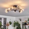 Chehalis Ceiling Light - glass 10 cm clear, 6-light sources