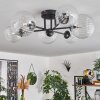 Chehalis Ceiling Light - glass 12 cm, 15 cm clear, 6-light sources