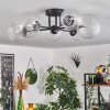 Chehalis Ceiling Light - glass 12 cm, 15 cm clear, 6-light sources