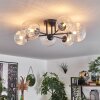 Chehalis Ceiling Light - glass 12 cm, 15 cm clear, 6-light sources