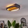 Cornol Ceiling Light LED Ecru, black, 1-light source