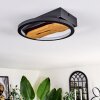 Cornol Ceiling Light LED Ecru, black, 1-light source