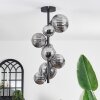 Chehalis Ceiling Light - glass 10 cm, 12 cm, 15 cm Smoke-coloured, 8-light sources