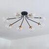 Chehalis Ceiling Light - glass 12 cm, 15 cm gold, black, 8-light sources