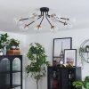 Chehalis Ceiling Light - glass 12 cm, 15 cm gold, black, 8-light sources