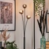 Bernado Floor Lamp - glass 10 cm clear, Smoke-coloured, 3-light sources