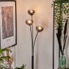 Bernado Floor Lamp - glass 12 cm clear, Smoke-coloured, 3-light sources