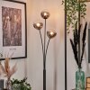 Bernado Floor Lamp - glass 12 cm clear, Smoke-coloured, 3-light sources