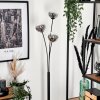 Bernado Floor Lamp - glass 12 cm clear, Smoke-coloured, 3-light sources