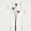 Bernado Floor Lamp - glass 12 cm clear, Smoke-coloured, 3-light sources