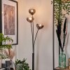 Bernado Floor Lamp - glass 12 cm clear, Smoke-coloured, 3-light sources