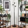 Bernado Floor Lamp - glass 12 cm clear, Smoke-coloured, 3-light sources