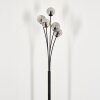 Bernado Floor Lamp - glass 10 cm Smoke-coloured, 5-light sources