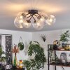 Chehalis Ceiling Light - glass 12 cm, 15 cm clear, 6-light sources