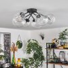 Chehalis Ceiling Light - glass 12 cm, 15 cm clear, 6-light sources