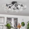 Chehalis Ceiling Light - glass 12 cm, 15 cm clear, 6-light sources