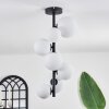 Chehalis Ceiling Light - glass 10 cm, 12 cm, 15 cm white, 8-light sources