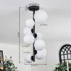 Chehalis Ceiling Light - glass 10 cm, 12 cm, 15 cm white, 8-light sources