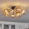 Chehalis Ceiling Light - glass 12 cm, 15 cm gold, black, 6-light sources