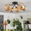 Chehalis Ceiling Light - glass 12 cm, 15 cm gold, black, 6-light sources