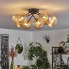 Chehalis Ceiling Light - glass 12 cm, 15 cm gold, black, 6-light sources