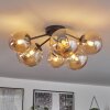 Chehalis Ceiling Light - glass 12 cm, 15 cm Amber, 6-light sources