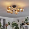 Chehalis Ceiling Light - glass 12 cm, 15 cm Amber, 6-light sources